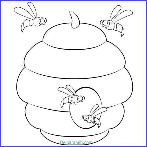  عکس کندو عسل نقاشی