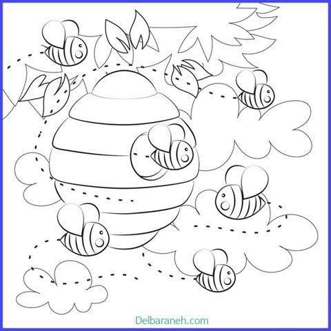  عکس کندو عسل نقاشی