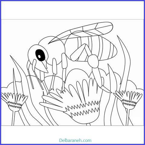  عکس کندو عسل نقاشی