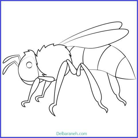  عکس کندو عسل نقاشی