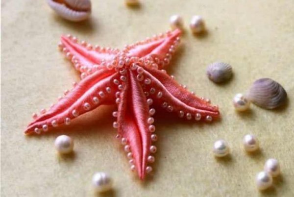 عکس ستاره دریایی واقعی