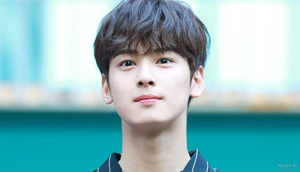 عکس چا اون وو و همسرش