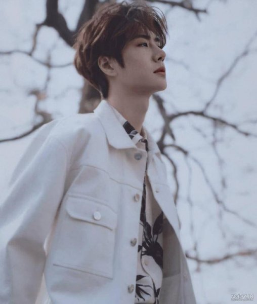  عکس های گیف وانگ ییبو چینی