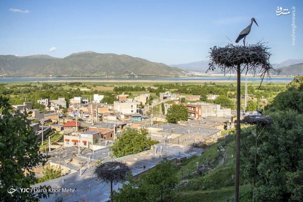  عکس لک لک واقعی