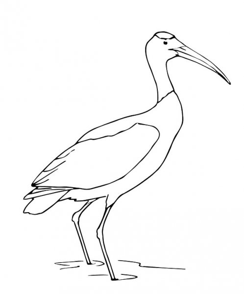 عکس نقاشی لک لک فانتزی