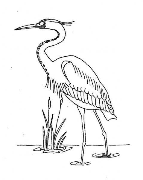  عکس نقاشی لک لک فانتزی