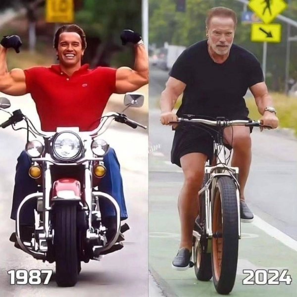 عکس آرنولد جدید