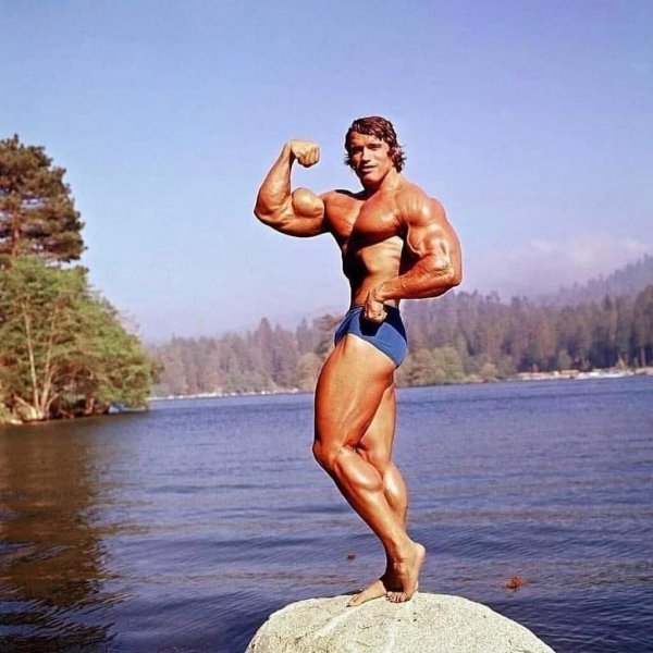 عکس آرنولد شوارتزنگر