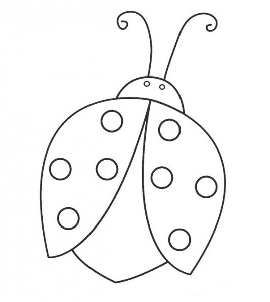 عکس کفشدوزک نقاشی