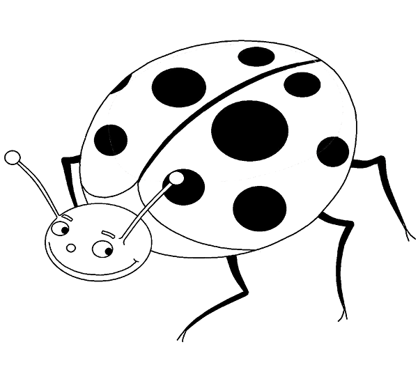  عکس کفشدوزک نقاشی