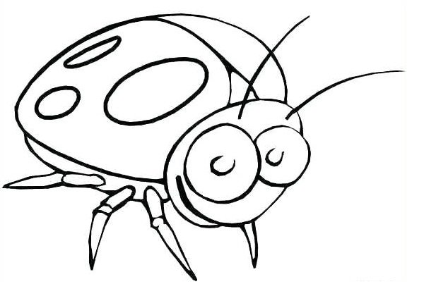  عکس کفشدوزک نقاشی