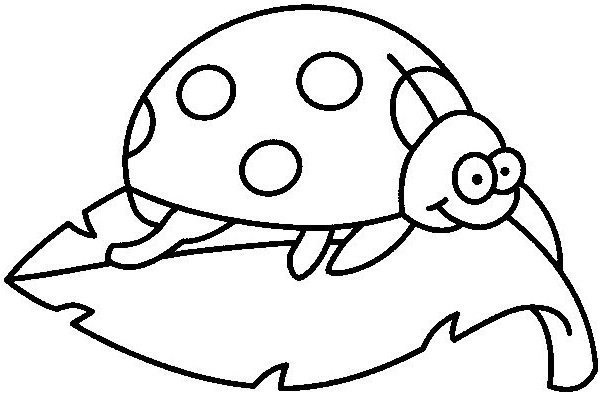  عکس کفشدوزک نقاشی