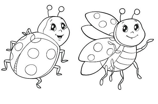  عکس کفشدوزک نقاشی