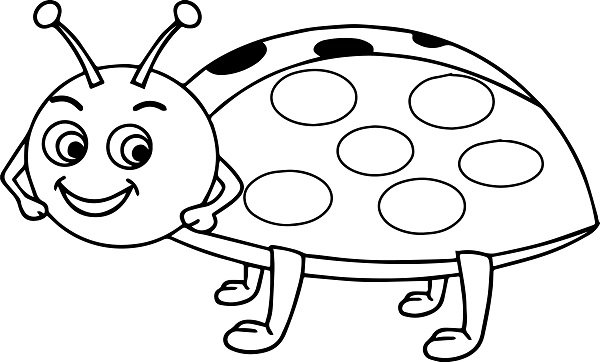  عکس کفشدوزک نقاشی