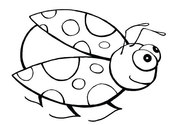  عکس کفشدوزک نقاشی