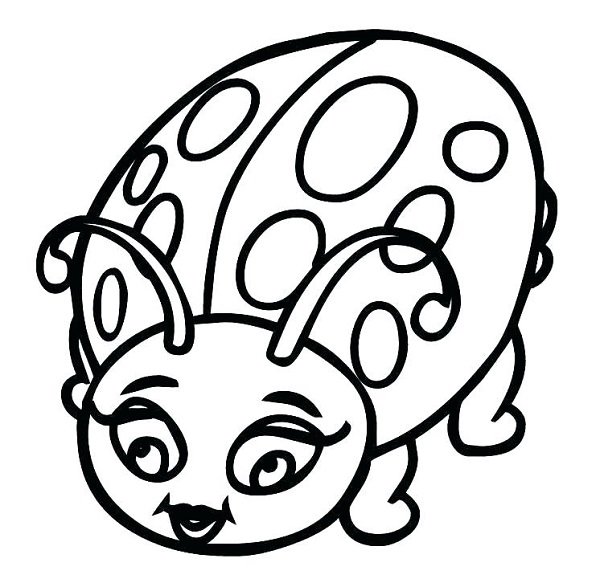  عکس کفشدوزک نقاشی