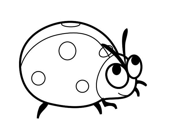  عکس کفشدوزک نقاشی