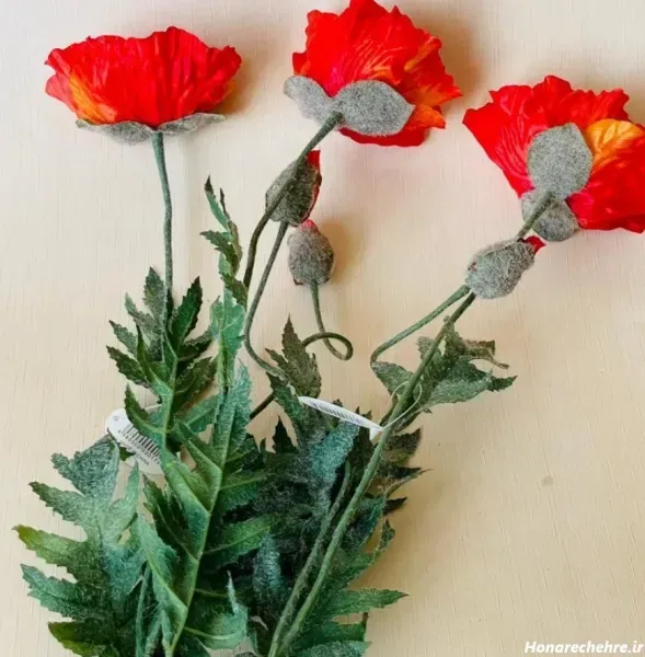 عکس گل شقایق وحشی