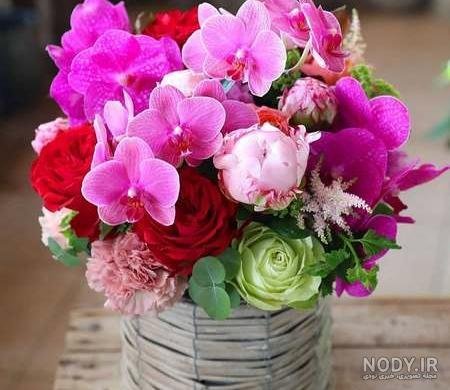  عکس انواع گل میخک