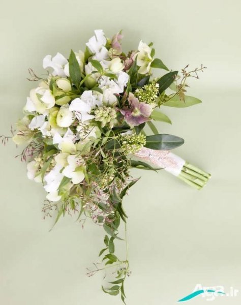 خوشبوترین نوع گل یاس