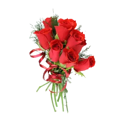 دانلود عکس گل های قرمز