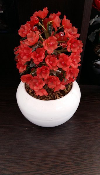 عکس گل ارکیده کریستالی