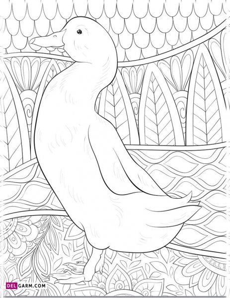  عکس نقاشی اردک کیوت فانتزی