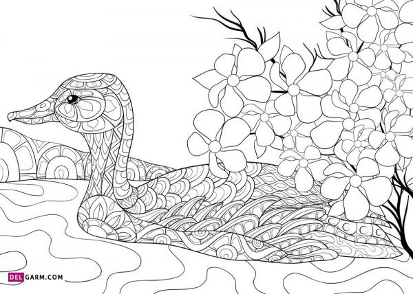  عکس نقاشی اردک کیوت فانتزی