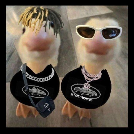  بک گراند اردک فانتزی