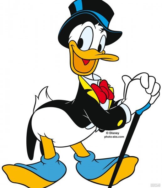  عکس اردک کارتونی