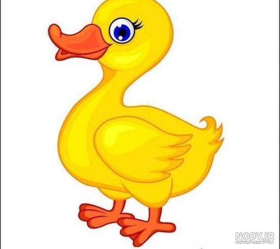  عکس اردک کارتونی