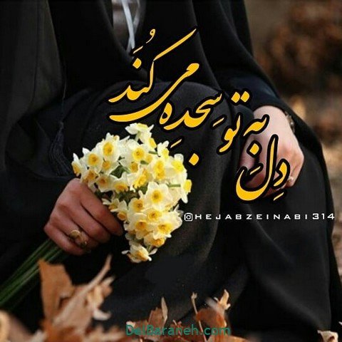  عکس نوشته روز عفاف و حجاب برای استوری