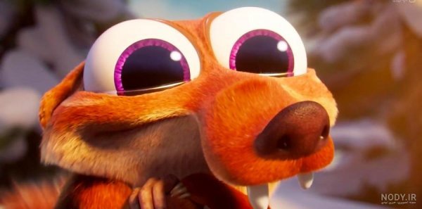 عکس سنجاب عصر یخبندان