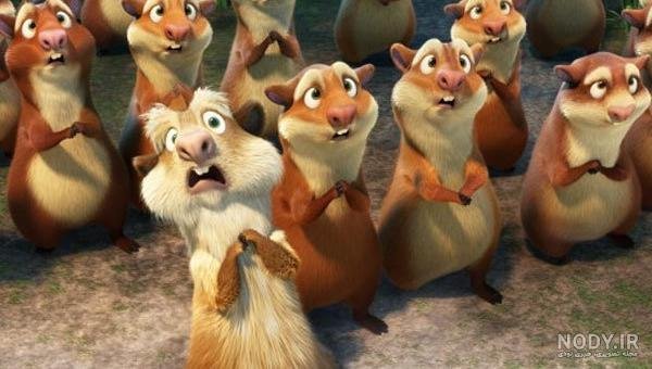  عکس سنجاب عصر یخبندان