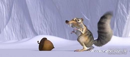  عکس سنجاب عصر یخبندان