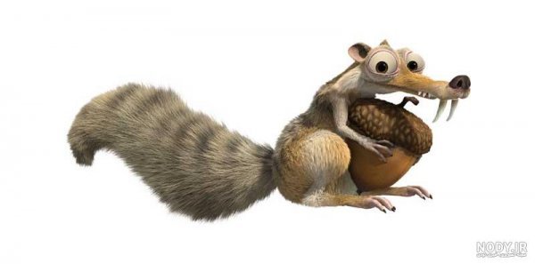  عکس سنجاب عصر یخبندان