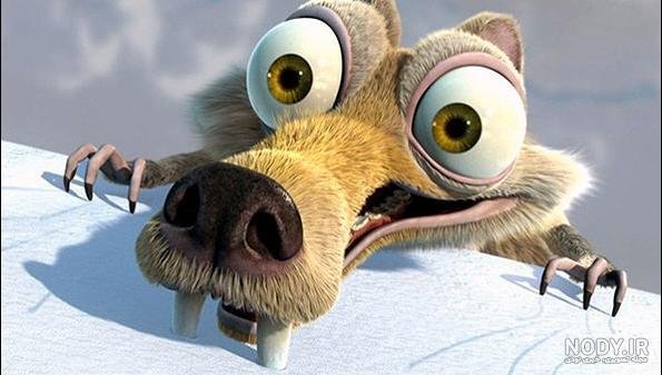  عکس سنجاب عصر یخبندان