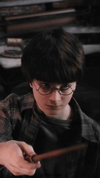  عکس های هری پاتر برای پروفایل