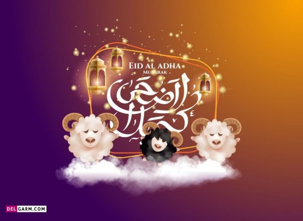  عکس گوسفند فانتزی برای عید قربان