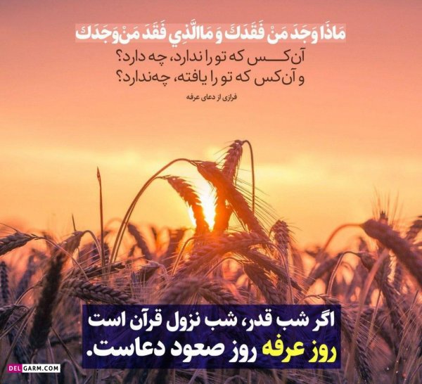  عکس های روز عرفه برای پروفایل