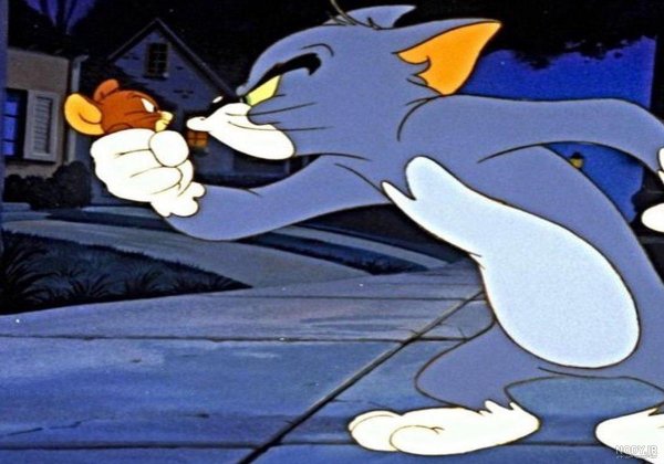  دانلود عکس های کارتون تام و جری