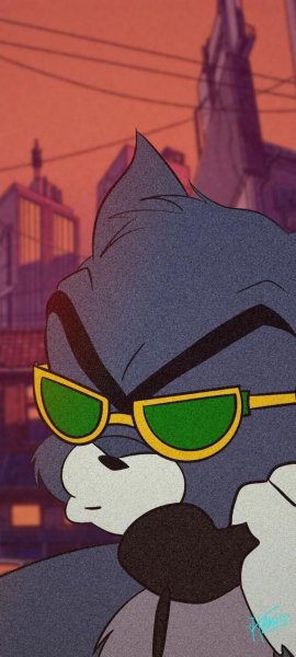  عکس تام و جری برای تصویر زمینه