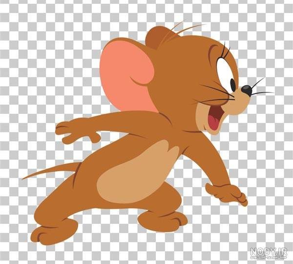  عکس تام و جری کیوت