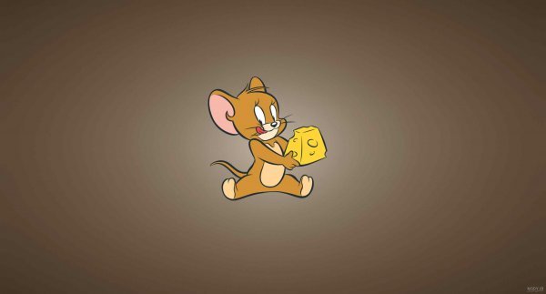  عکس تام و جری برای پروفایل