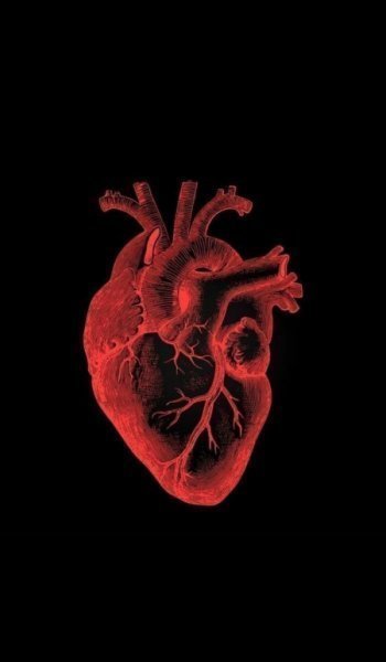  عکس ضربان قلب واقعی