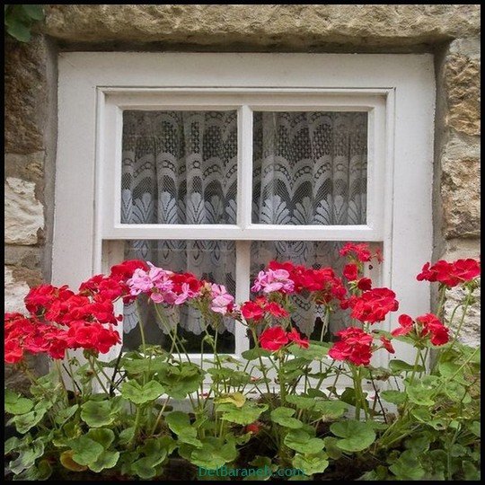  عکس سفره صبحانه قدیمی