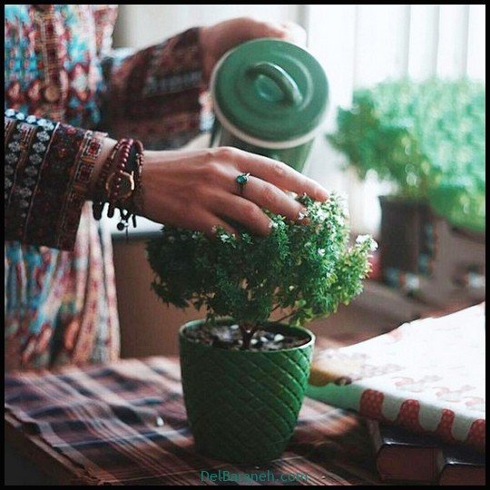  عکس سفره صبحانه قدیمی