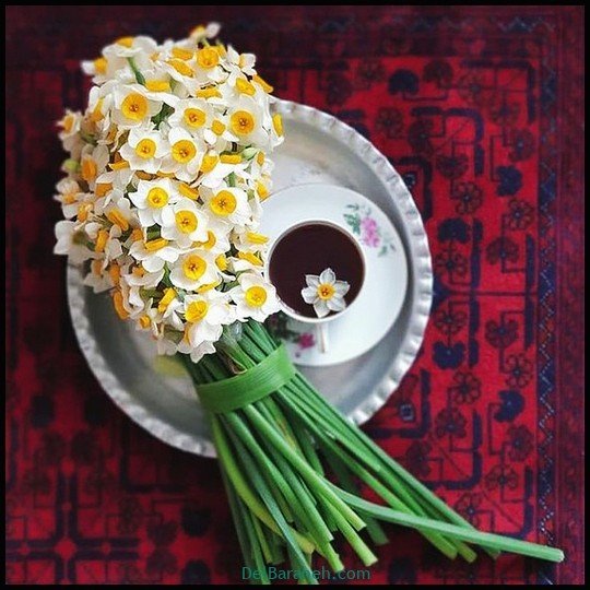  عکس سفره صبحانه قدیمی