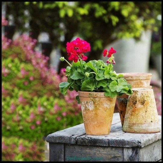  عکس سفره صبحانه قدیمی