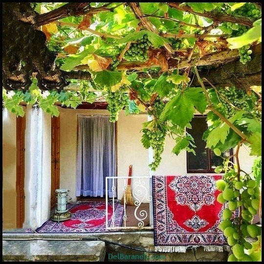  عکس سفره صبحانه قدیمی